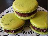 Macarons au Thé Matcha