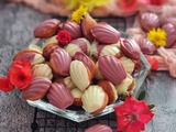 Madeleines à la Poudre de Grenade