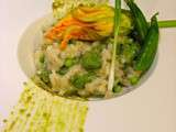 Risotto de pois gourmands,fleurs de courgette farcie au chèvre frais