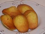 Madeleine au citron