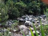 Grand Bassin et son îlet - La Réunion