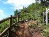 Makes et le Point de Vue de La Fenêtre - La Réunion