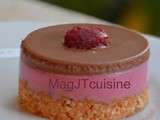 Entremet framboise-chocolat