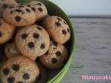 Cookie à la noisette (poudre de noisette et pépite de chocolat)