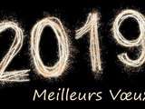 Bonne Année 2019