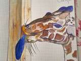 Dessins au stylo bic bleu crystal: Girafe