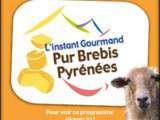 L’instant gourmand Pur Brebis Pyrénées