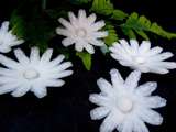 Marguerites sur navet