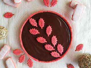 Tarte chocolat, pâte sablée amandes et Biscuits Roses de Reims