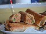 Brick aux brochettes