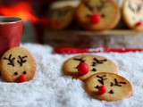 Sablés de Gilles Marchal (biscuit Rodolphe citron, noisette, seigle, pâte sablée, dessert, goûter, noël, fêtes, bio)