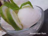 Sorbet, saveur mojito