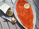 Saumon gravlax sauce citron-ciboulette