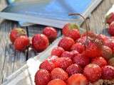 Tartine peanut butter et fraises by Pam