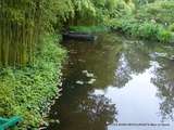 Giverny(27)-Le Jardin d'Eau