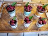 Panna cotta framboises et coulis de groseilles