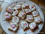 Toasts radis et fromage blanc