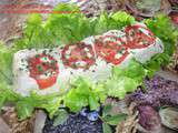 Terrine de chevre tomates croustifondant