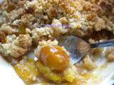 Crumble aux mirabelles et à l’érable