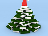 Livres sous le sapin - Noël 2023