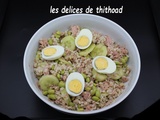 Salade d’orge perlé au thon et aux fèves