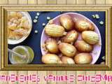 Madeleines vanille-gingembre