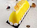 Bûche ananas mangue