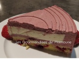 Entremets fruits rouges, panna cotta vanille