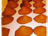 Madeleines chocolat cannelle