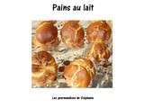 Petits pains au lait