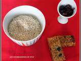 Flapjacks au chocolat blanc et aux cranberries