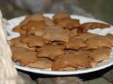 Biscuits aux épices de Noël sans gluten ni produits laitiers