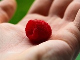 Sur le chemin des délices : explorer les régions célèbres pour leurs framboises