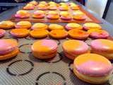 Macarons au pamplemousse