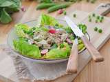 Salade croquante d’épeautre aux herbes et aux maquereaux