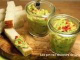 Tartinade d'avocat au thon