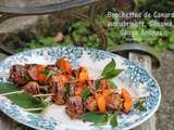 Brochettes de canard aux abricots, sésame et sauge ananas