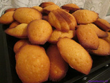 Madeleines au pamplemousse