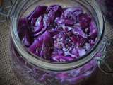 Chou rouge en lactofermentation