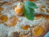 Clafoutis rustique aux mirabelles et noisette