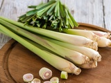 Lemon grass : Zoom sur la citronnelle