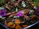 Salade de lentilles à la Gersoise