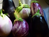 Zoom sur ... l'aubergine