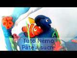 Tutoriel nemo