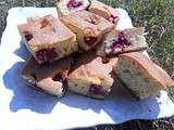 Gâteau express aux framboises