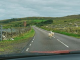 Road-trip de 2 semaines en Ecosse: itinéraires et conseils