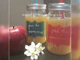 Jus de pommes au companion, thermomix ou autres robots