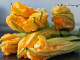 Beignets de fleurs de courgettes