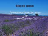 Blog en Pause