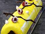 Bûche fruits exotiques framboise et spéculoos praliné